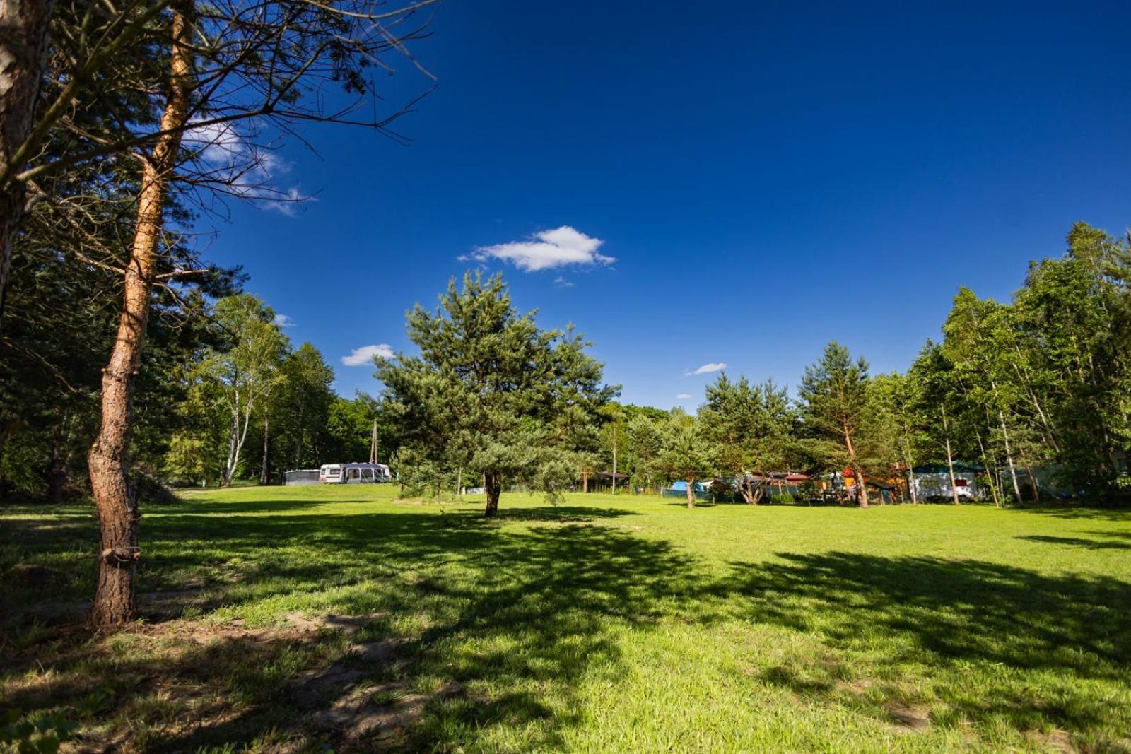 Camping Skansen Zdbice Zewnętrze zdjęcie